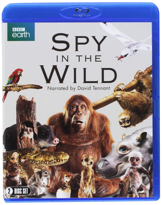 Spy in the Wild (BBC)