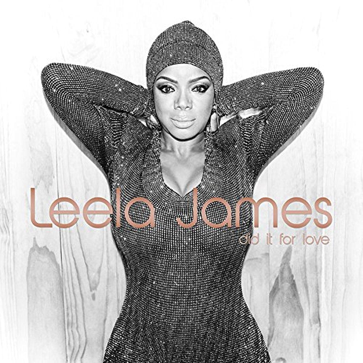 Leela James-Did It For Love
