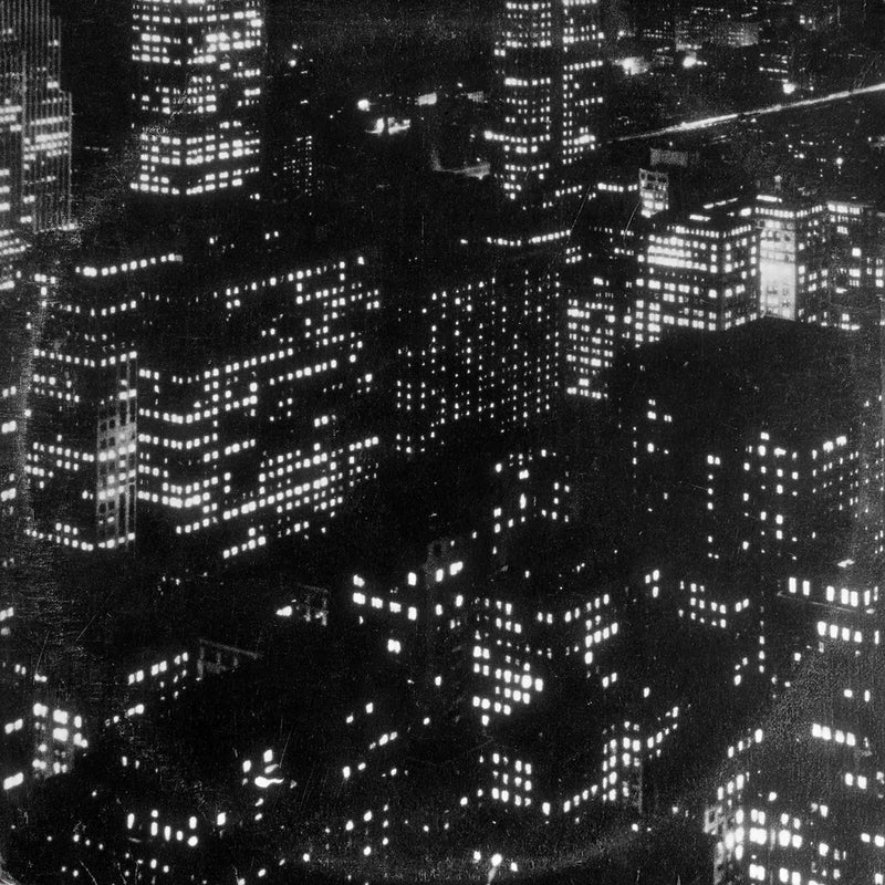 TIMBER TIMBRE - SINCERELY, FUTURE POLUTION (1 CD