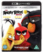 The Angry Birds Movie