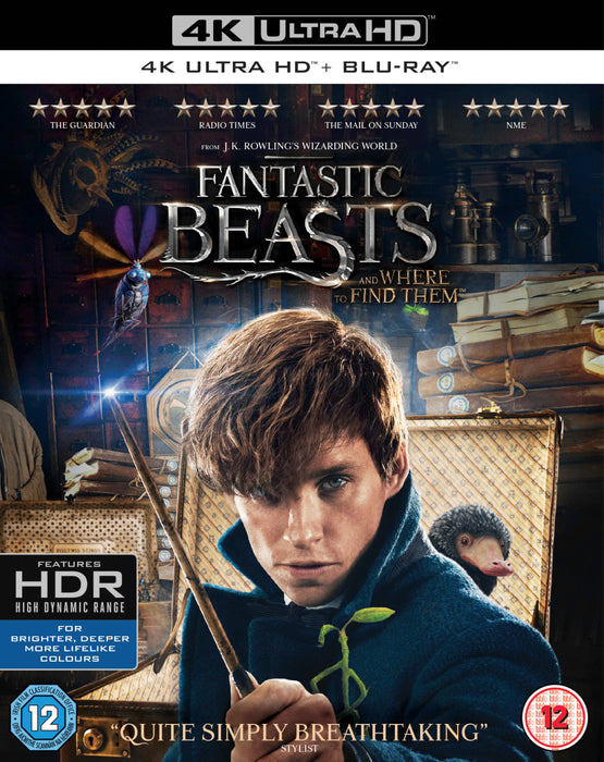 Fantastic Beasts & Where to Find Them