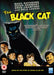 The Black Cat