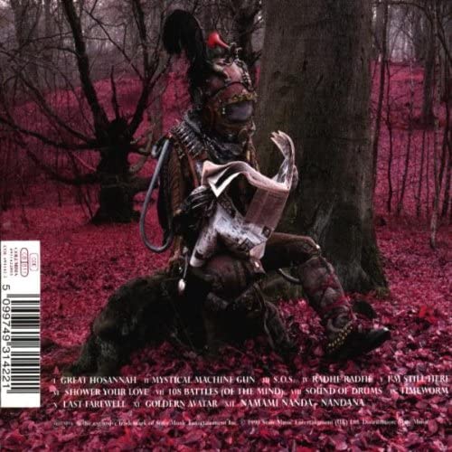 Peasants Pigs and Astronauts