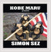 Simon Sez