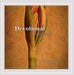 Devotional Live Worship