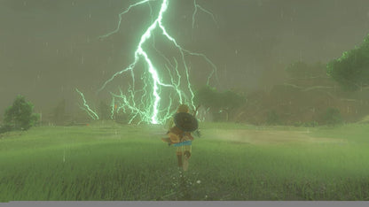 Games - Legend of Zelda - Breath of the wild (1 Games