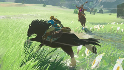 Games - Legend of Zelda - Breath of the wild (1 Games