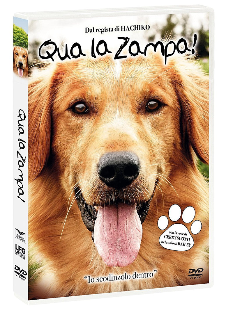 qua la zampa DVD Italian Import