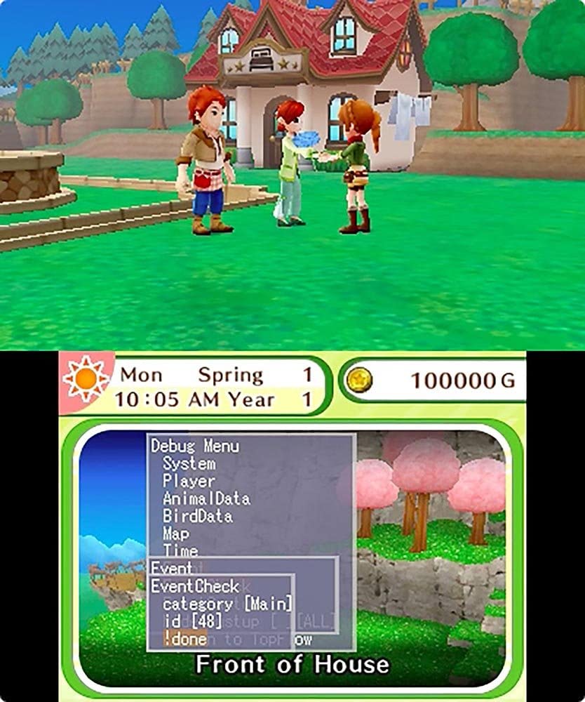 Harvest Moon Skytree Village (Nintendo 3DS