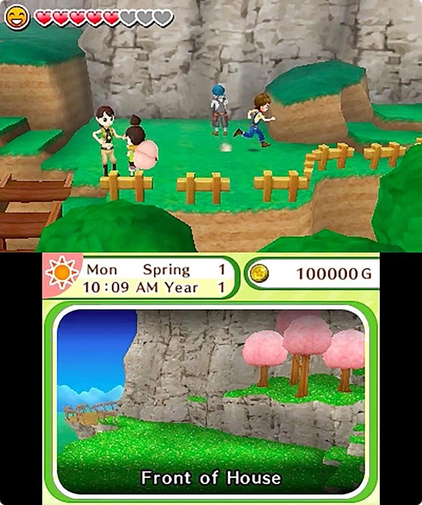 Harvest Moon Skytree Village (Nintendo 3DS