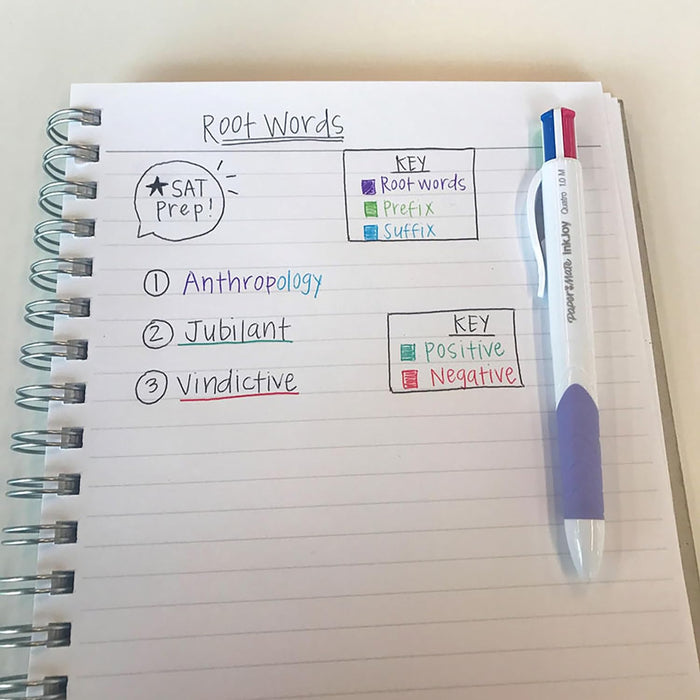 Paper Mate InkJoy Quatro 4-Colour Ballpoint Pen | Business Colours | Medium Point (1.0 mm) | 12 Count