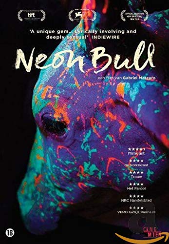 Neon bull
