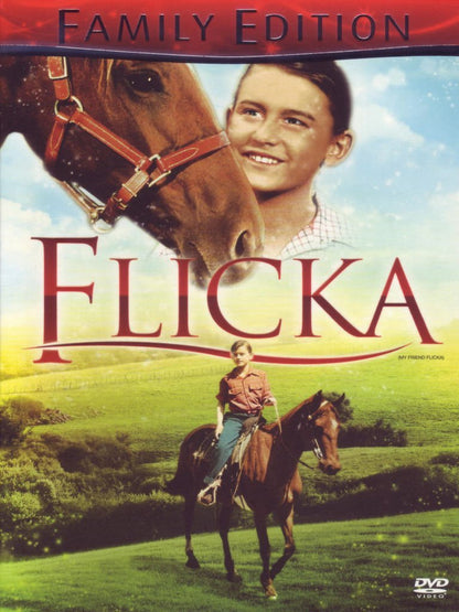 Flicka (family edition