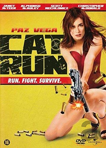 Cat run