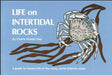 Life on Intertidal Rocks