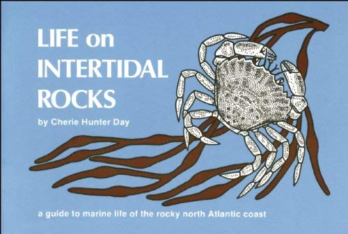 Life on Intertidal Rocks