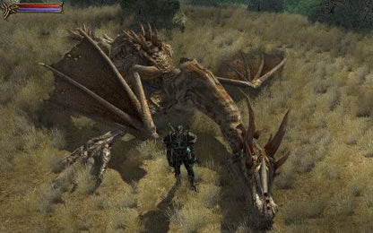 Two Worlds Epic Edition (PC