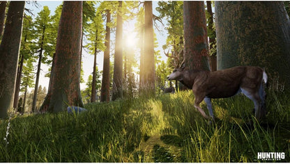 Hunting Simulator for PlayStation 4