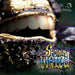Walker`S Mammals Of The World