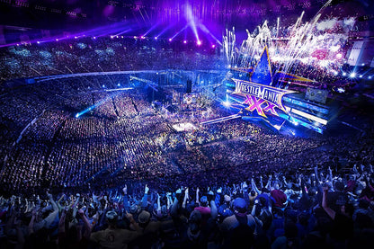 WWE: WrestleMania 30