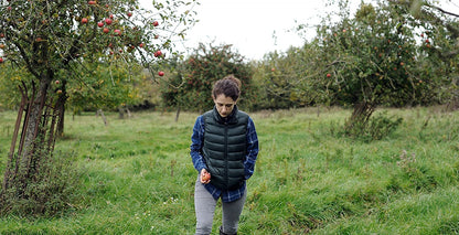 The Levelling