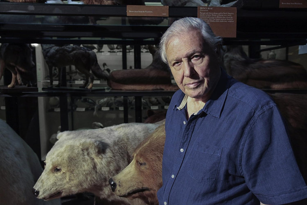 David Attenborough's Natural Curiosities - Series 4