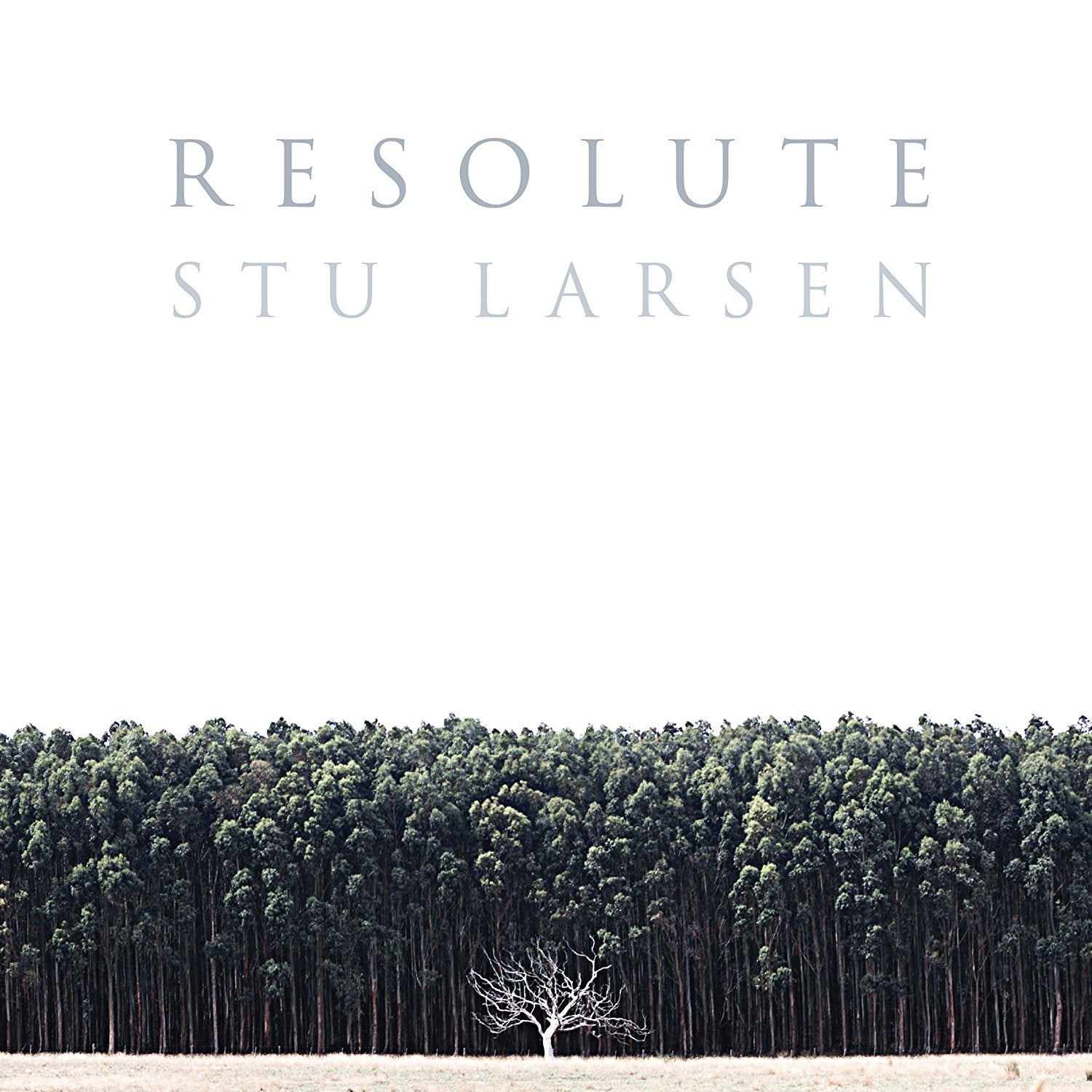 Resolute