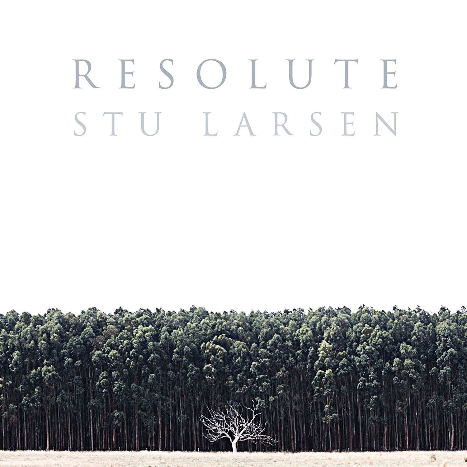Resolute