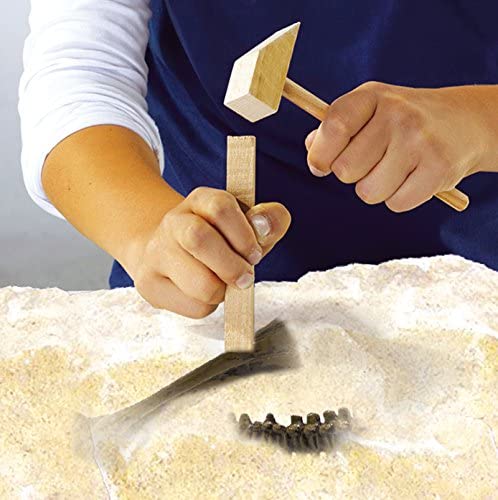 SES Creative 25028 Dinosaurs Explore Excavate A T-Rex Toy, Mixed, 18