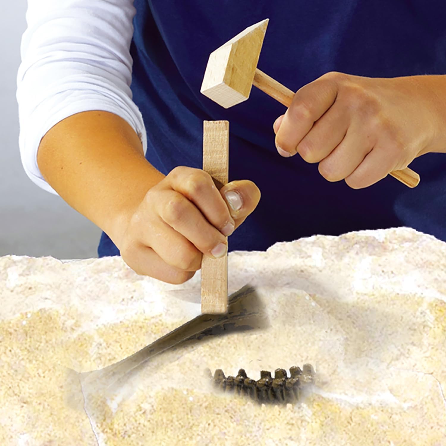 SES Creative 25028 Dinosaurs Explore Excavate A T-Rex Toy, Mixed, 18
