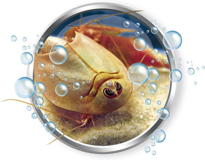 Wetenschap Triops Kweken 7+