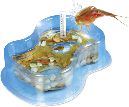 Wetenschap Triops Kweken 7+