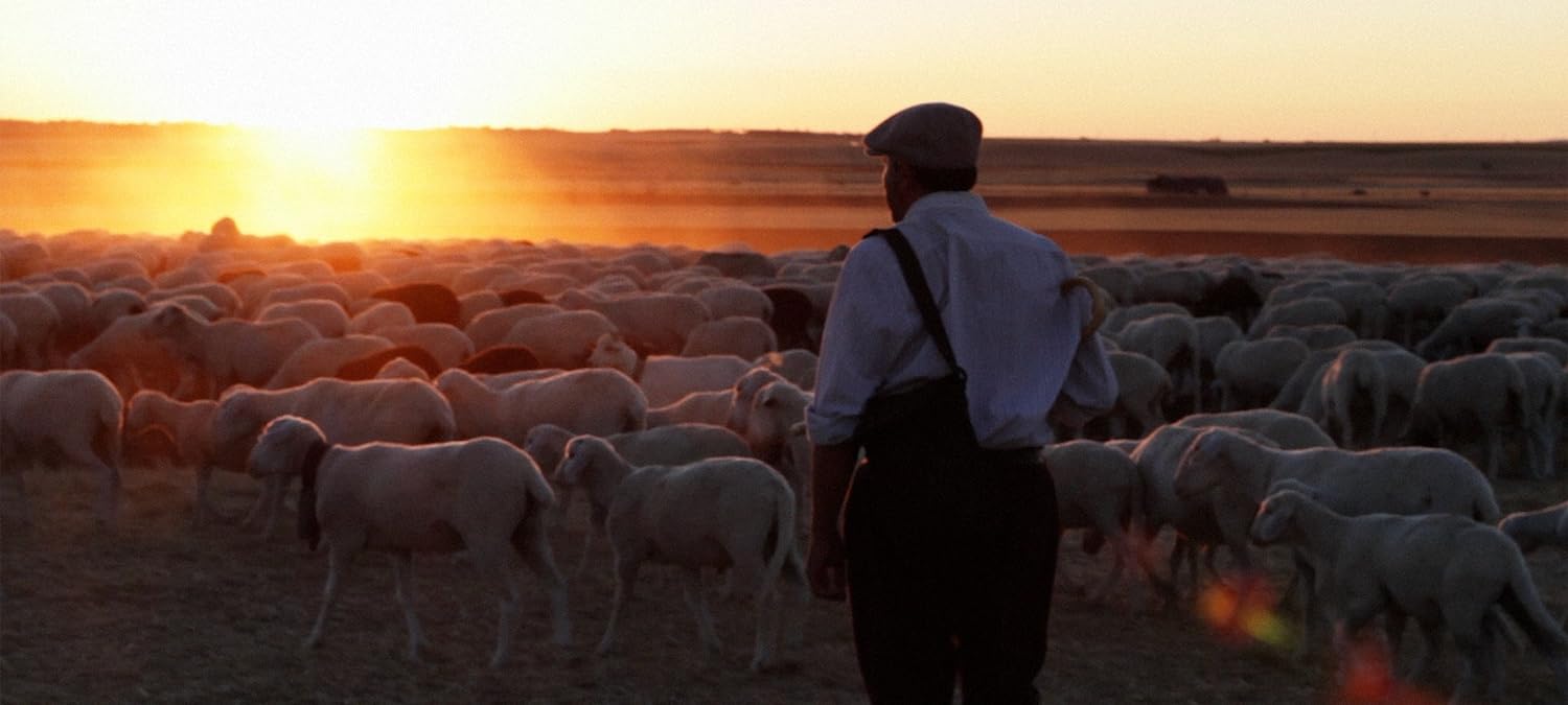 The Shepherd (El Pastor)