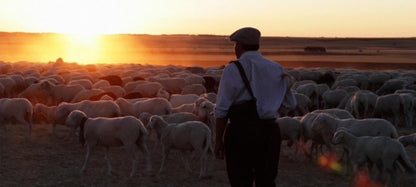 The Shepherd (El Pastor)