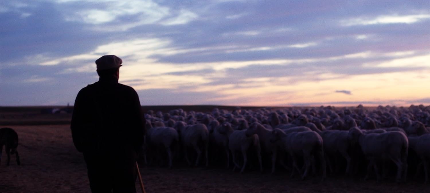 The Shepherd (El Pastor)