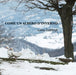 Luisa Cottifogli - Come Un Albero D'inverno