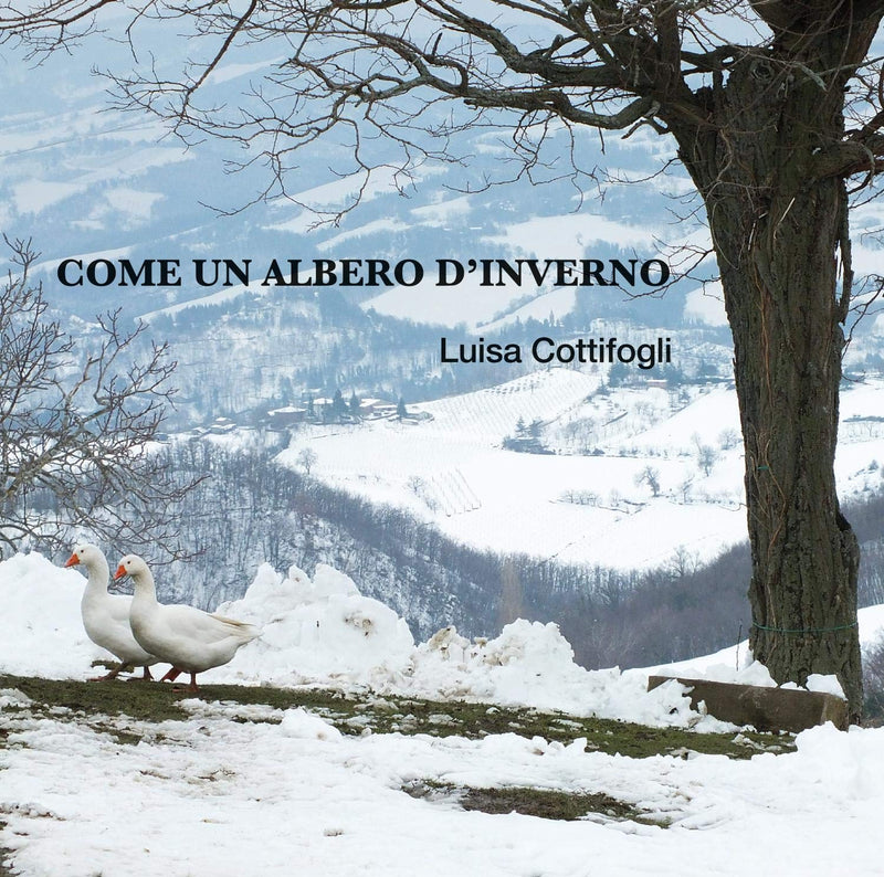 Luisa Cottifogli - Come Un Albero D'inverno