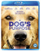 A Dog's Purpose