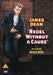 Rebel Without A Cause