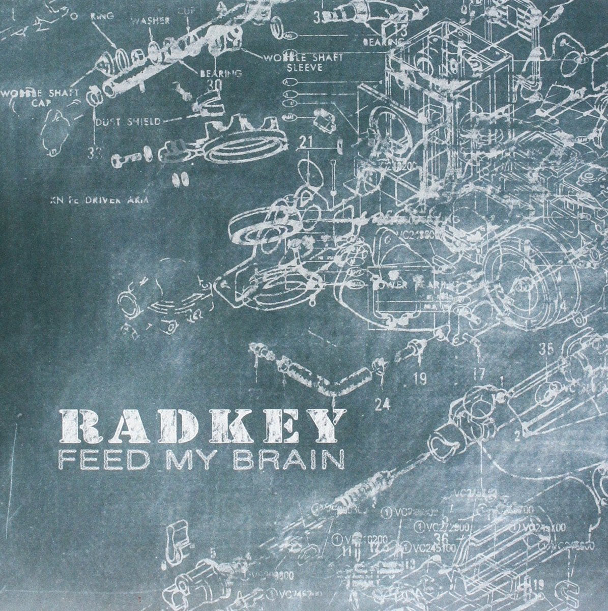 Feed My Brain