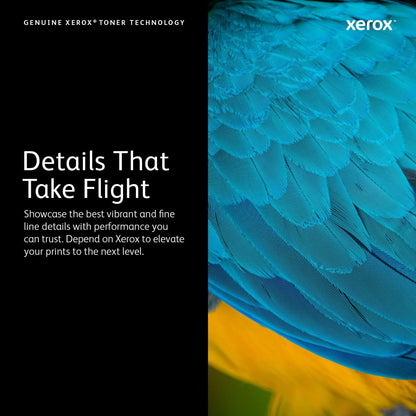 Xerox Original VersaLink C500 / C505 Amarillo Cartucho de Tóner Extra Alta Capacidad (9,000 Páginas) - 106R03875