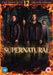 Supernatural: Season 12