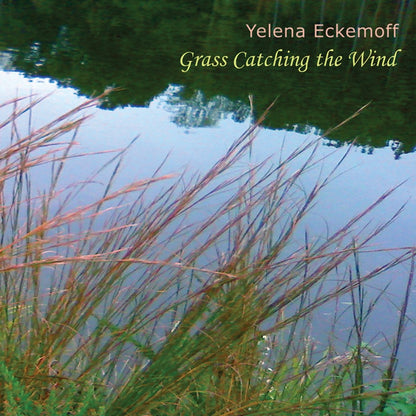 Grass Catching the Wind