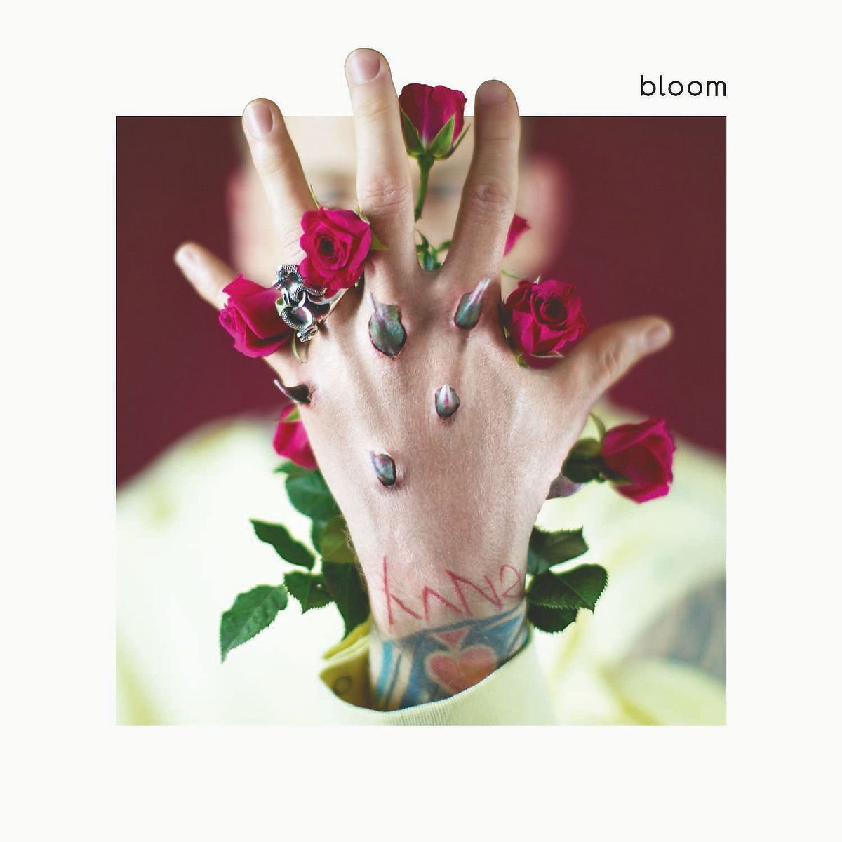 Bloom  Explicit Lyrics