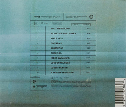FOALS - WHAT WENT DOWN