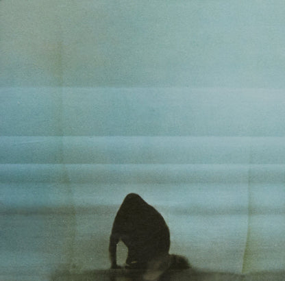 FOALS - WHAT WENT DOWN