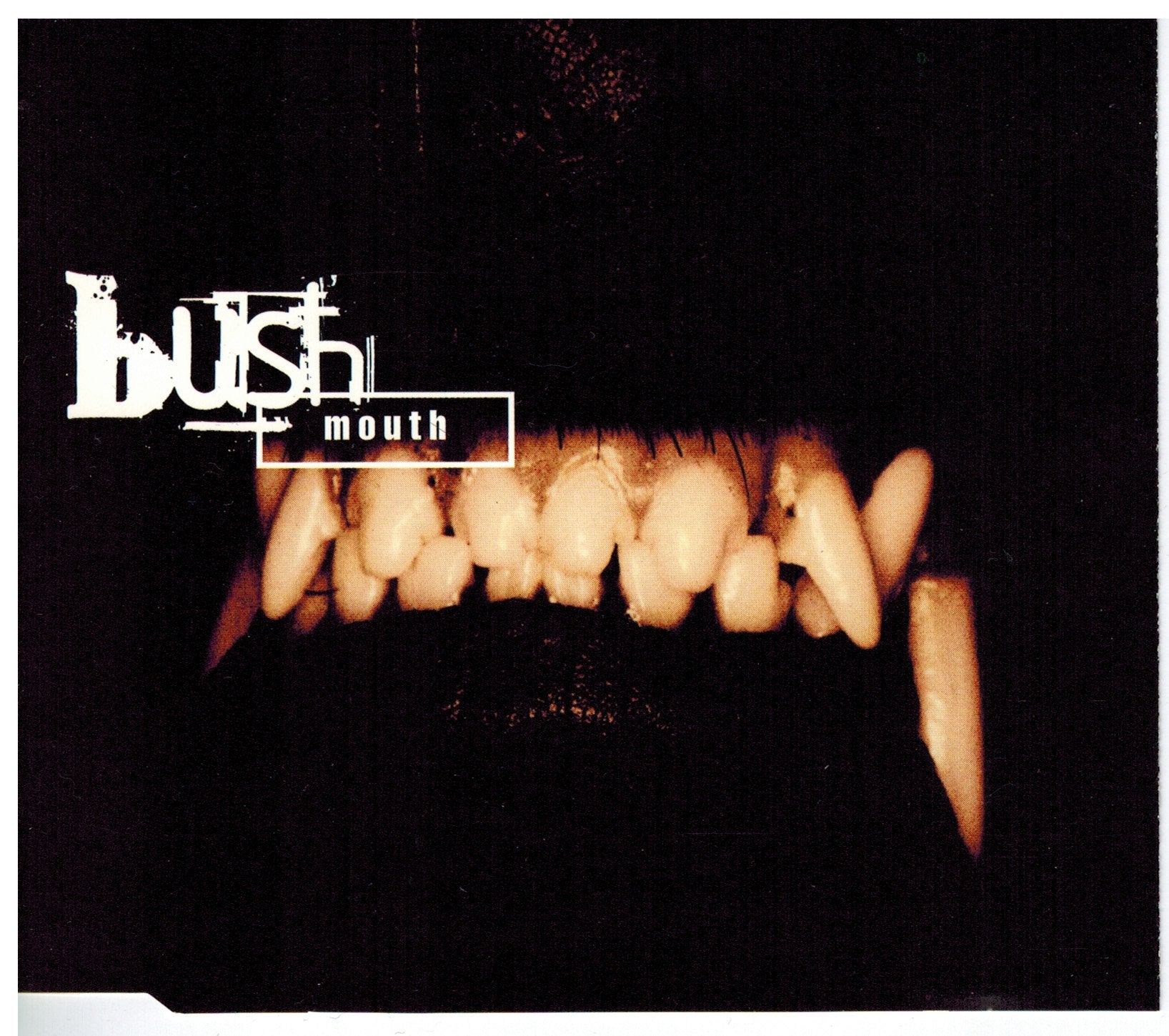 Mouth