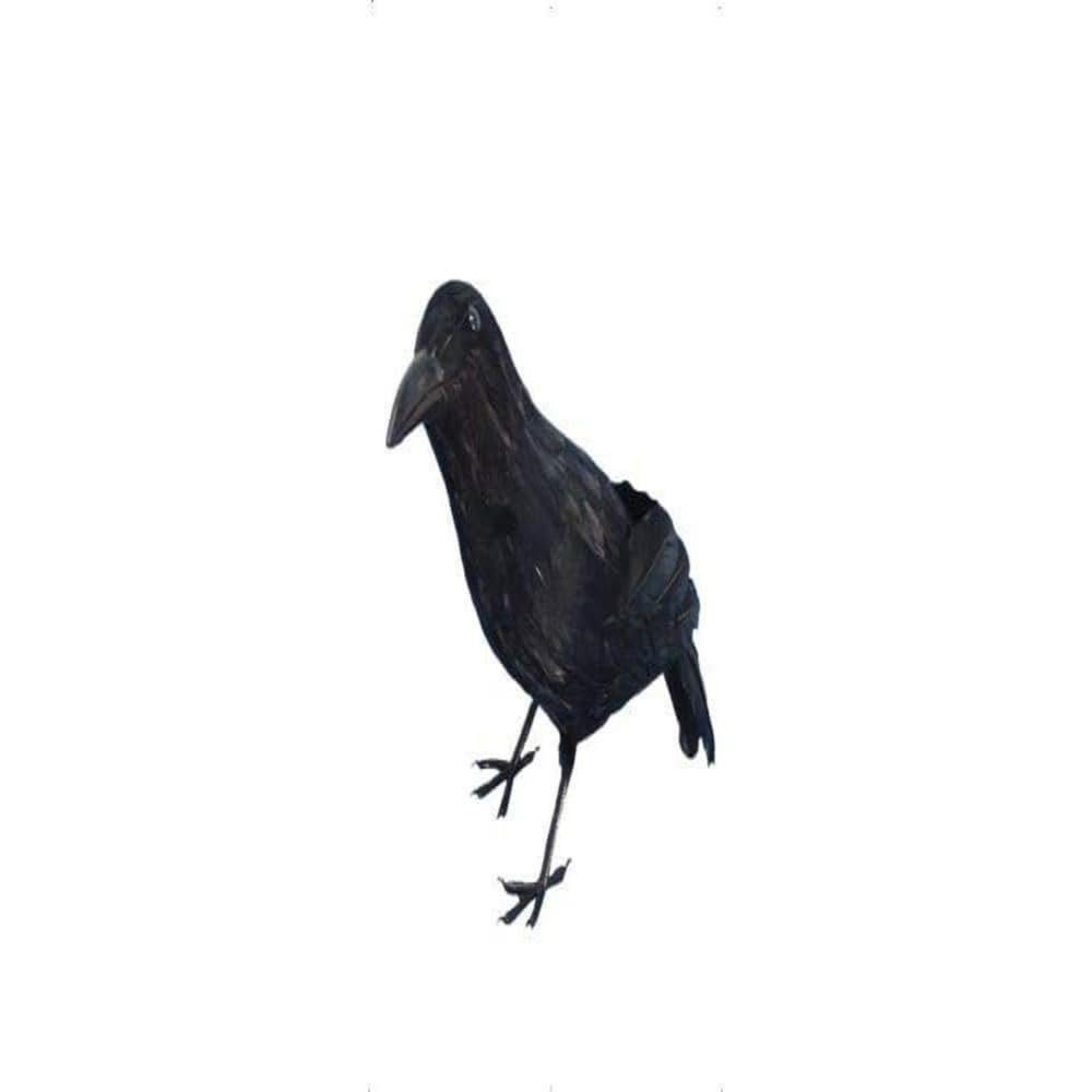 Smiffys Cuervo, Negro, Con plumas, 33cm