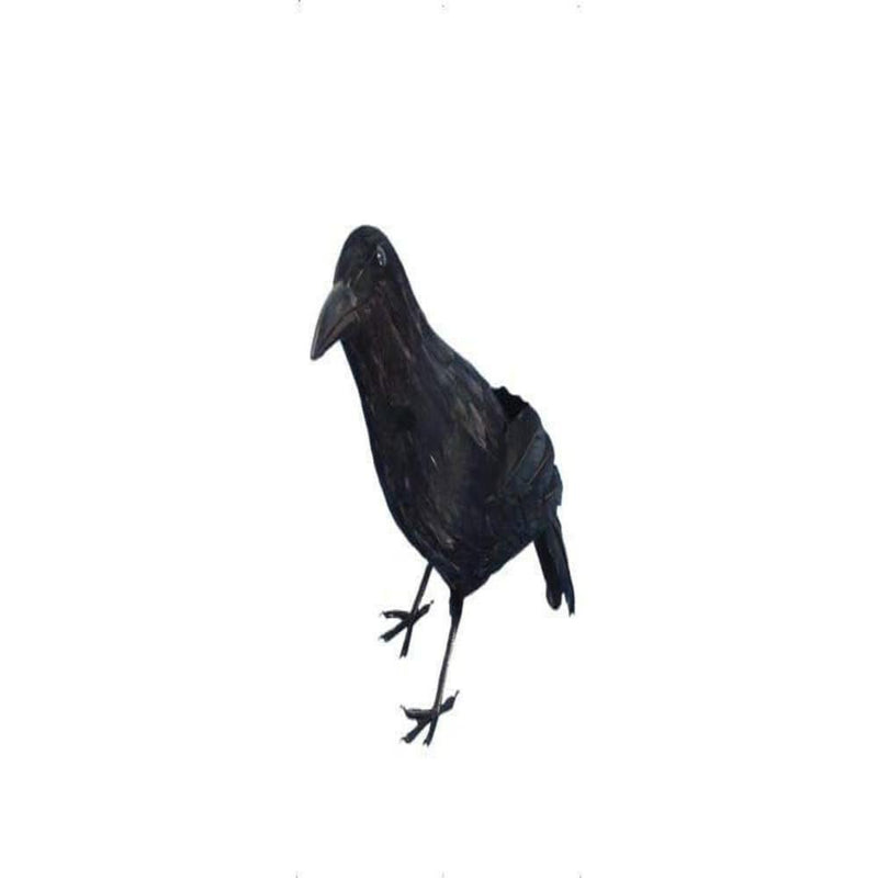 Smiffys Cuervo, Negro, Con plumas, 33cm