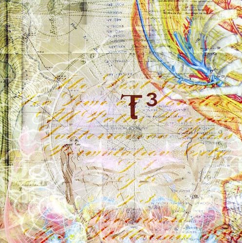 t³